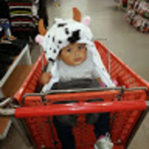 Meet your Posher, Ernesto